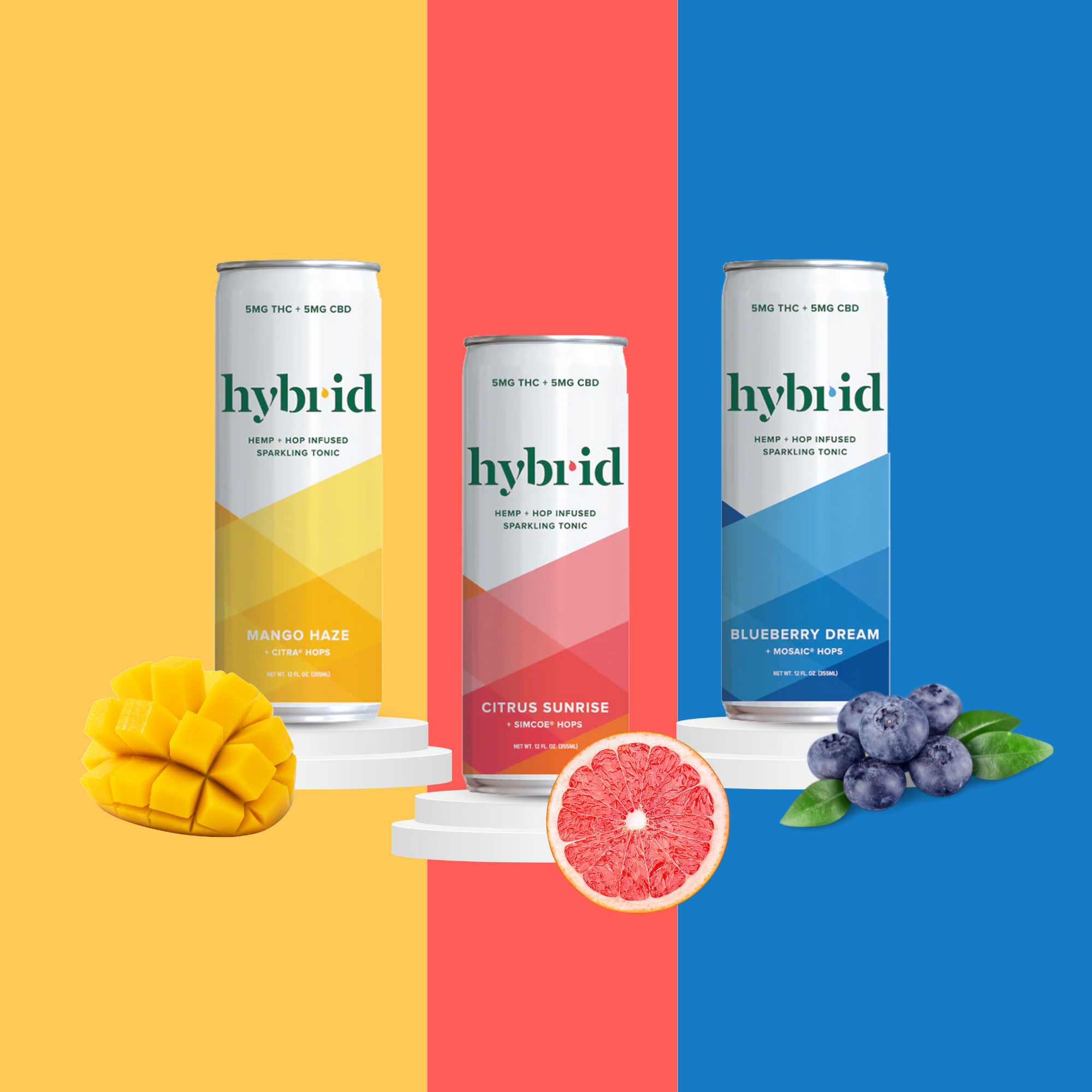 Sampler Pack (12 Pack)